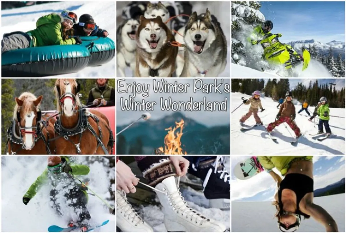 This lively exterior image captures a snowy landscape alive with winter activities: people tubing down a slope, sled dogs, snowmobiles, horses pulling a sleigh, children playing in the snow, as well as skiers and snowboarders. The scene is bustling with families and adventurers enjoying a variety of winter sports and snow-based fun.